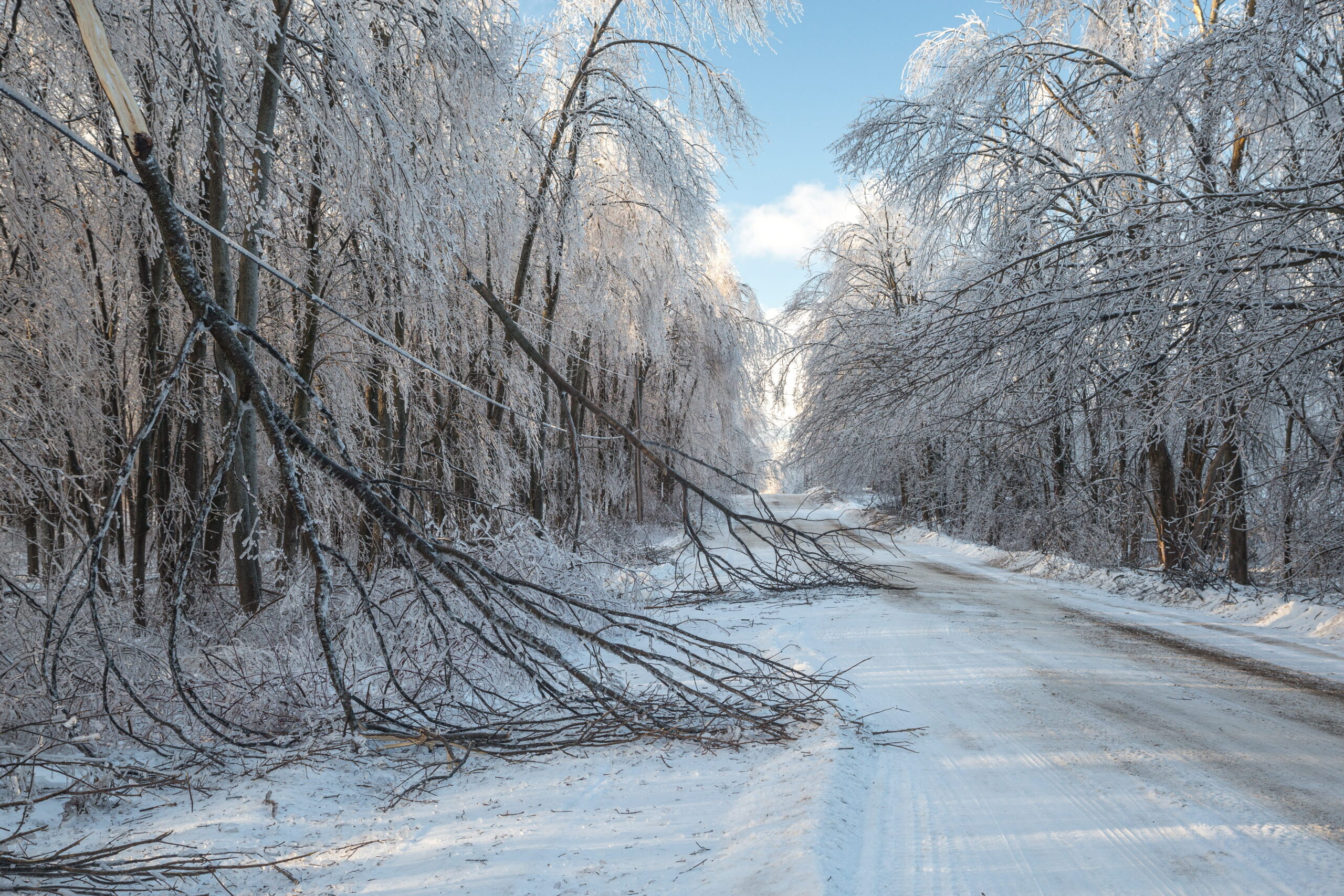 ice-storm-shutterstock_168538649-2