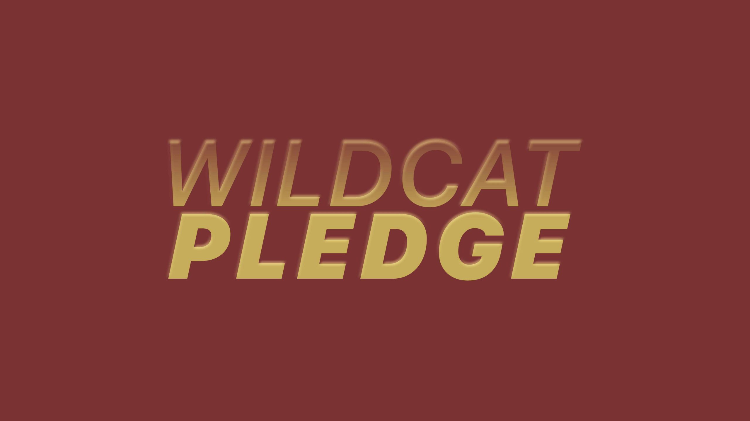 WildcatPledgeHeroItalicCrop-scaled